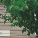 Сайдинг Ю-Пласт TIMBERBLOCK Пихта (Тимберблок) Cахалинская купить в Бузулуке