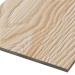 Фиброцементные панели FCSPRO Decor Wood Лиственница купить в Бузулуке