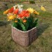 Цветник КАНЬОН купить в Бузулуке