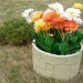 Цветник КАНЬОН купить в Бузулуке